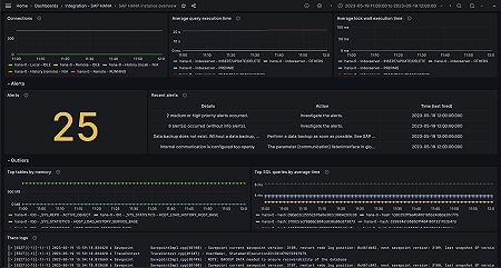 SAP HANA instance overview (logs)