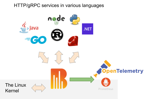 Diagram with logos showing multi-process support in Grafana Beyla